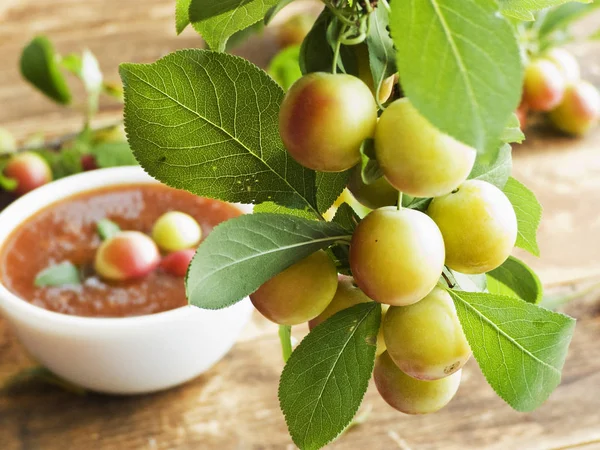 Alucha berries on wood — Stock Photo, Image