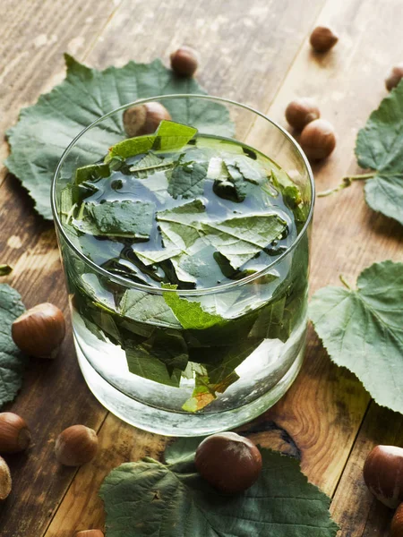 Hazelnut leaves water — Stock Photo, Image