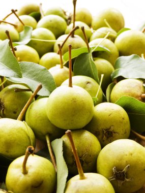 ahşap üzerine armut