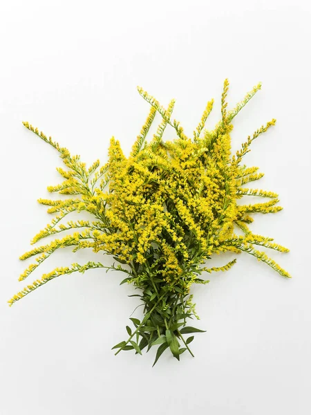 Goldenrod lei su legno — Foto Stock