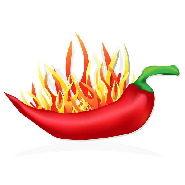 Red chili pepper in flame. Vector illustration.