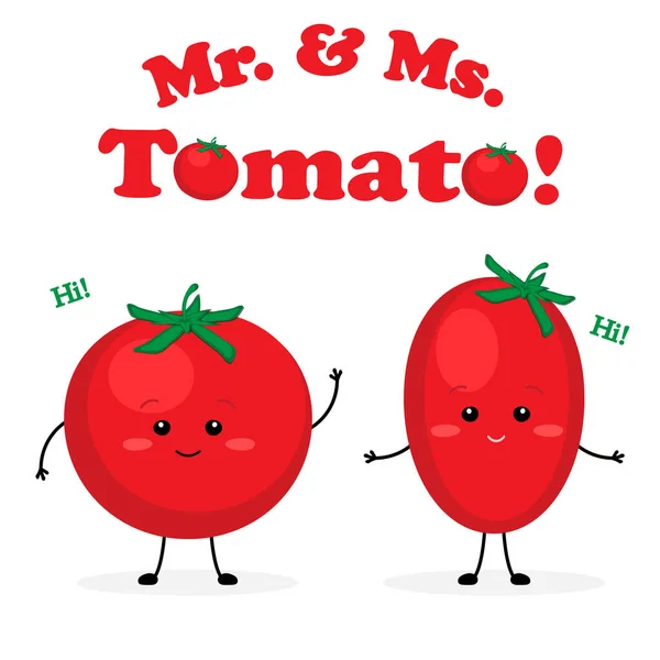 Tomato先生和Missis Tomato先生可爱的字符矢量插图 — 图库矢量图片