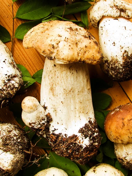 Frische Steinpilze Oder Steinpilze Auf Dem Hölzernen Hintergrund Flacher Dof — Stockfoto