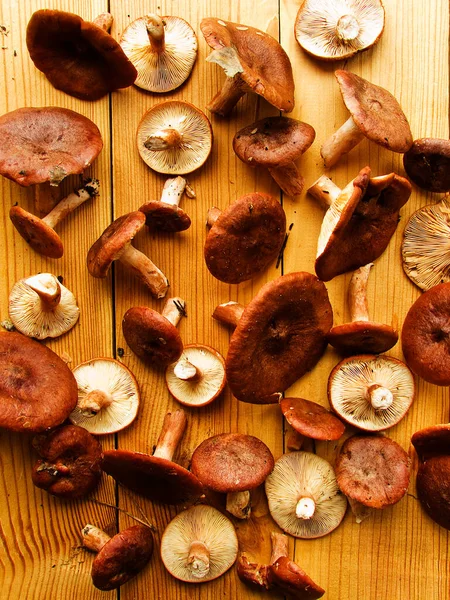 Fresh Lactarius Rufusi Rufous Milkcap Mushrooms Wooden Background Shallow Dof — Stock Photo, Image