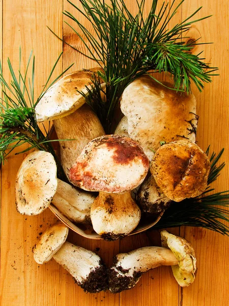 Fresh Boletus Edulis Cep Porcini Mushrooms Wooden Background Shallow Dof — Stock Photo, Image