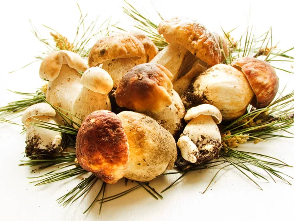 Fresh Boletus Edulis Cep Porcini Mushrooms Wooden Background Shallow Dof — Stock Photo, Image