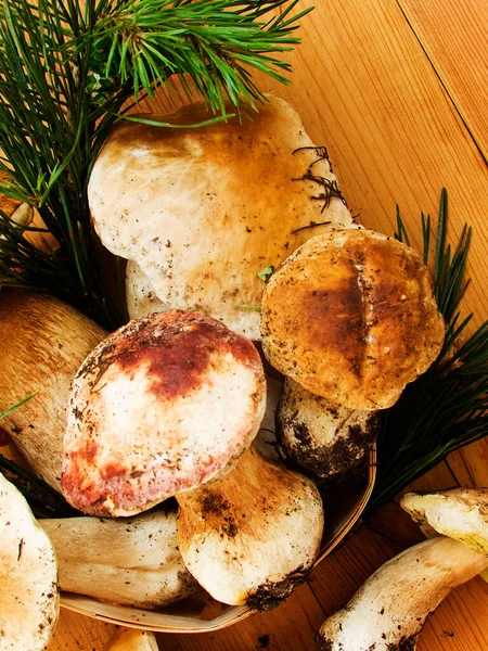 Fresh Boletus Edulis Cep Porcini Mushrooms Wooden Background Shallow Dof — Stock Photo, Image