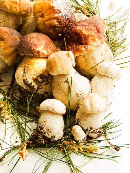 Świeże Boletus Edulis Lub Cep Porcini Grzyby Drewnianym Tle Płytkie — Zdjęcie stockowe