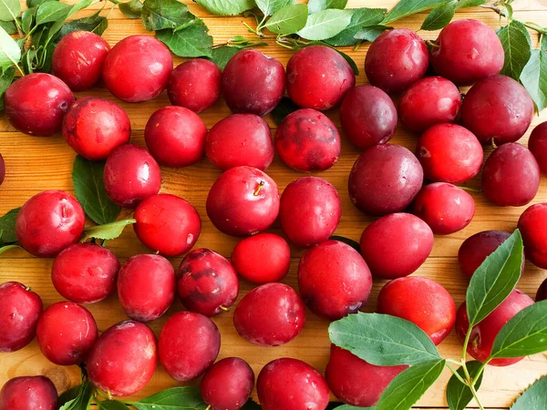 Alucha Cherry Plum Berries Wooden Background Shallow Dof — Stock Photo, Image