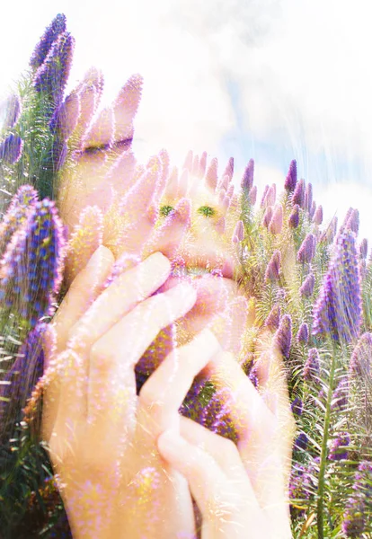 Heldere Aspecten Van Natuur Zijn Samen Met Haar Rustige Ontspannen — Stockfoto