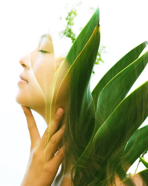 Aspectos Brillantes Naturaleza Destacan Junto Con Expresión Pacífica Relajada —  Fotos de Stock