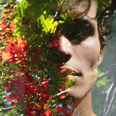 Canlılar ve çevre arasında uyumlu büyüme. Çift Pozlama