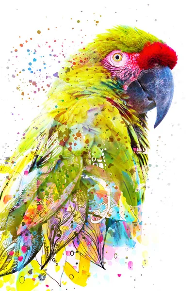 Paintography. Double exposure photograph of a tropical parrot co — Stock Photo, Image