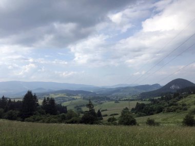 Slov Yaz forrest, çayır ve tarlalar kırsal manzara