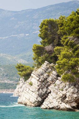 Park Milo denizde çıkıntılı kayanın yakın çekim görünümü