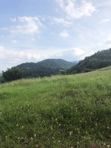 Foreste estive, prati e campi paesaggio rurale in Slov — Foto Stock