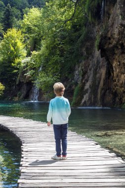 Plitvice gölleri milli parkının ormanına el değmemiş çalılıklardan geçen ahşap bir yol üzerinde duran çocuk