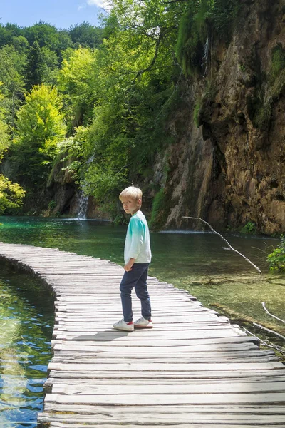 Αγόρι στέκεται σε ένα ξύλινο μονοπάτι που περνά μέσα από την ανέγγιχτη συστάδες του δάσους του εθνικού πάρκου λιμνών του Πλίτβιτσε — Φωτογραφία Αρχείου