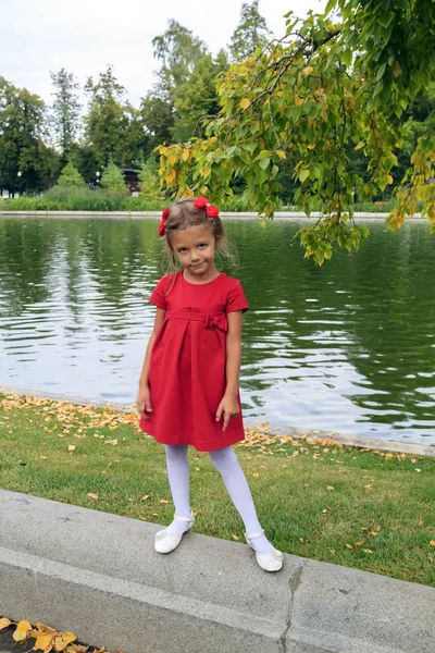 Menina com grampos de cabelo vermelhos e vestido fica perto da lagoa ao ar livre no outono — Fotografia de Stock