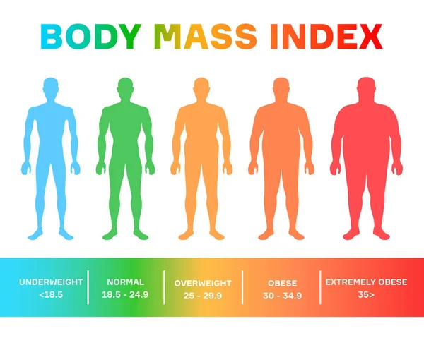 Caracterización de las siluetas masculinas para diferentes etapas del índice de masa corporal — Vector de stock