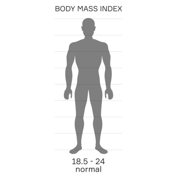 Silueta de la persona proporcional con índice de masa corporal normal — Vector de stock