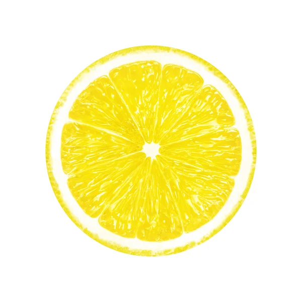 Lemon Slice Fruit Isolated White Background — Stock Photo, Image