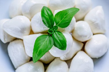 Lezzetli Mozzarella peynir topları