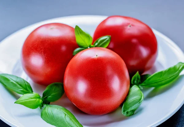 Pozostawia Świeży Dojrzałe Czerwone Pomidory Bazylią — Zdjęcie stockowe