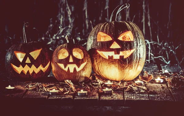 Halloween-Kürbisse stecken Laterne mit Kerzen herum auf den alten Brettern in einer gespenstischen Nachtlandschaft. Weichzeichner. flacher dof — Stockfoto