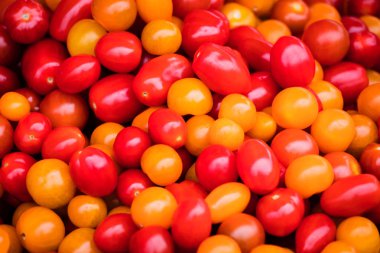 taze sulu domates yakından görmek. 