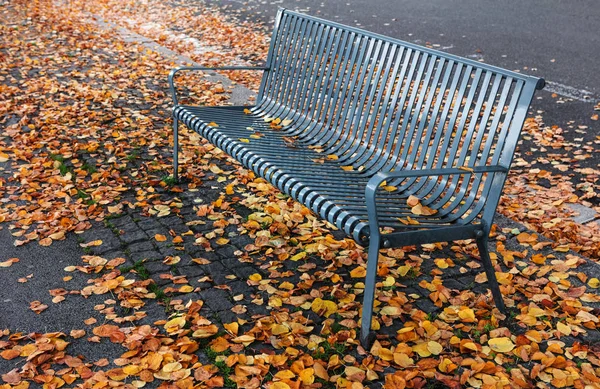 美丽的金属长凳在公园里 — 图库照片
