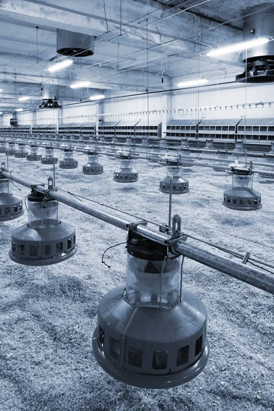 Die Moderne Und Neue Automatisierte Integrierte Geflügelfarm — Stockfoto