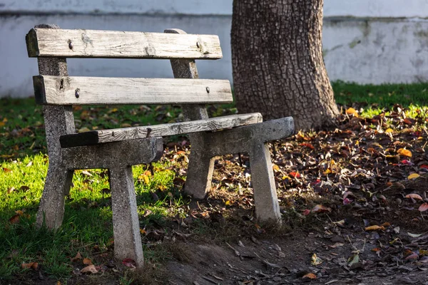 Empty Bench Autumnal Park — Stock Photo, Image