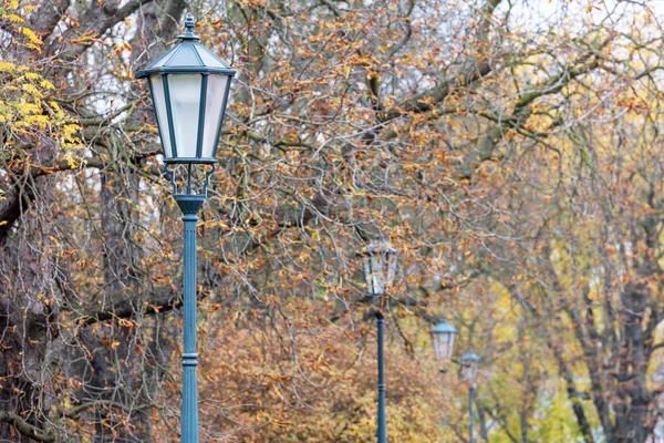 Hermoso Parque Otoño Con Lámparas Calle Antiguas — Foto de Stock