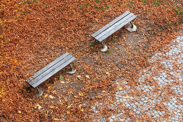 Bovenaanzicht Houten Bankjes Het Park Het Najaar — Stockfoto