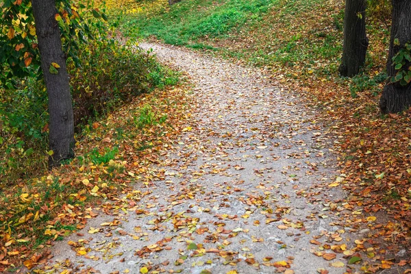 Pathway Beautiful Autumn Park — Stock Photo, Image