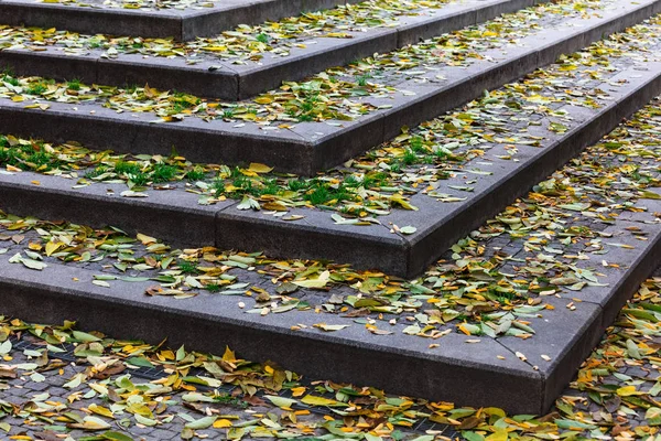 Folhas Escadas Dia Outono — Fotografia de Stock