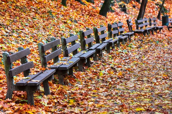 Wooden Benches Fall Park — Stock Photo, Image