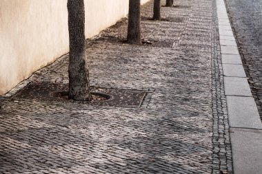 kentin ağaçlarla taş döşeme