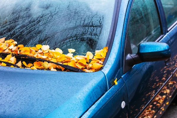 Sonbahar yaprakları ile kaplı araç. — Stok fotoğraf