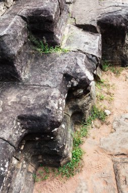 merdiven çim yakın çekim ile büyümüş