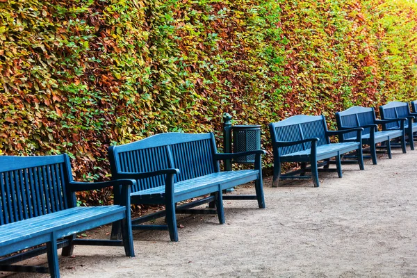 Blue benches in park alley — Stock Photo, Image