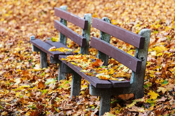 Benches in the fall in the park — 图库照片