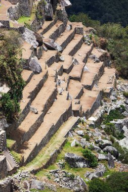 Machu Picchu 'daki eski teraslar ve harabeler