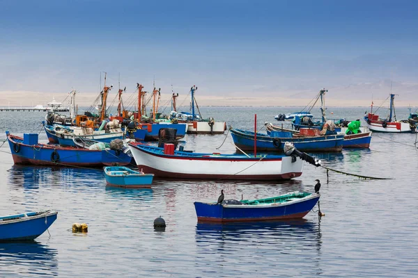 Barche Pesca Mattino Nella Baia — Foto Stock