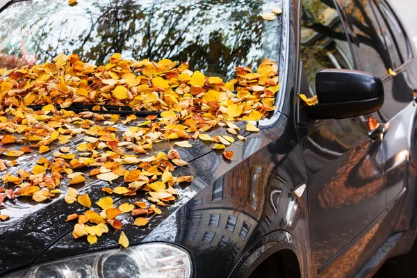 Urban Autumn Landscape Car Covered Autumn Leaves — Stock Photo, Image