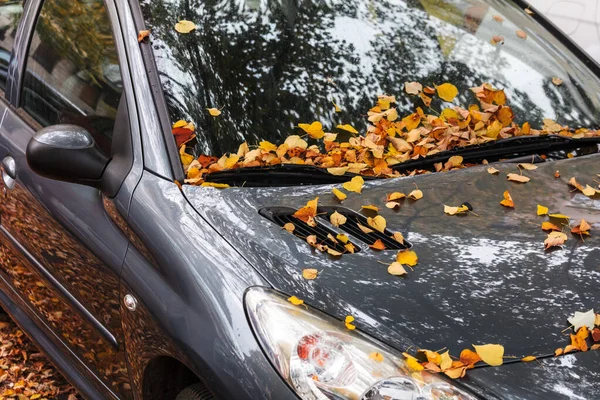 Urbane Herbstlandschaft Auto Mit Herbstlaub Übersät — Stockfoto