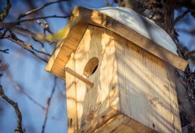 Kışın ağaçta kuş yuvası