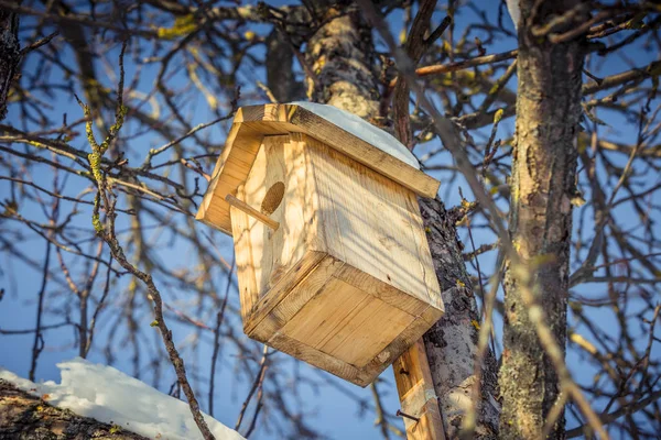 Birdhouse in een boom in de winter — Stockfoto