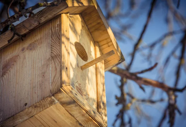 Birdhouse in een boom in de winter — Stockfoto